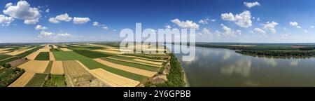 Antenne Panorama der bunten Felder am hohen Ufer der Donau in Serbien Stockfoto