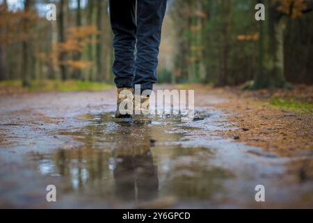 Selektive fokussierte Aufnahme von Wanderschuhen, die auf einem Waldweg durch eine Wasserpfütze laufen Stockfoto