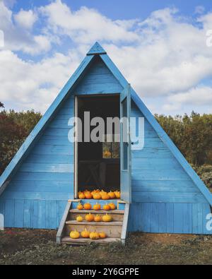 Herbst Ernte halloween Konzept. Herbst Kürbisse auf der Treppe Stockfoto