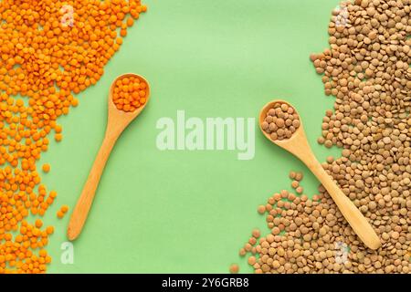 Rohe rote und braune Linsen in zwei Löffeln - Lens culinaris. Stockfoto