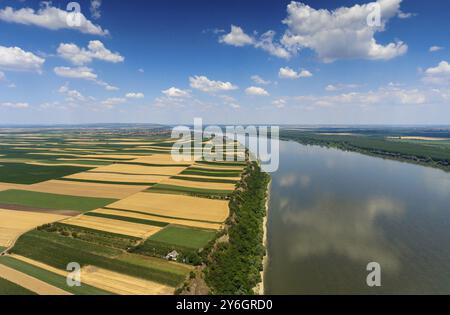 Luftaufnahme von bunten Felder am hohen Ufer der Donau in Serbien Stockfoto