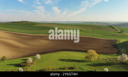 Blick aus der Vogelperspektive auf die wunderschönen grünen welligen Hügel mit landwirtschaftlichen Feldern im Frühling. Region Südmähren, Tschechische Republik, Europa Stockfoto