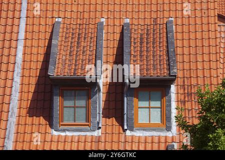 Rötliches Dach mit Dachziegeln und Oberlichtern im historischen Stadtzentrum Hildesheim, Niedersachsen, Deutschland, Europa Stockfoto