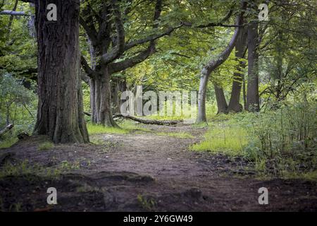 Blick auf den Wanderweg im Naturpark Oude Landen in Ekeren, in der Nähe von Antwerpen, Belgien. Schönheit in der Natur Stockfoto