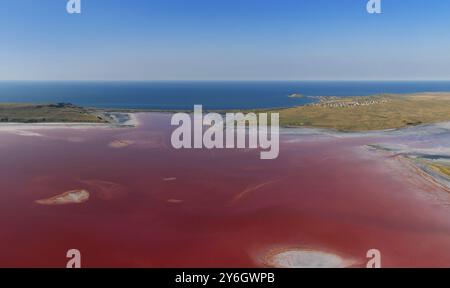 Panoramablick auf den rosa See in der Nähe des Schwarzen Meeres, Chokrak See im Karalarsky Park, Krim Stockfoto