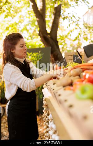 Weibliche Kleinunternehmer-Eigentümerin, die lokal angebaute Kartoffeln am greenmarket-Stand zusammenstellt. Ein engagierter Landwirt arrangiert frisch geerntetes Obst und Gemüse auf dem Marktplatz. Stockfoto