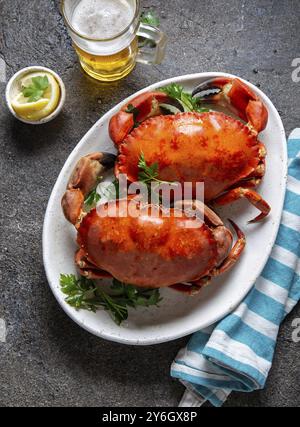 Essen, Essen, ganze gekochte Krabben auf weißem Teller mit Zitrone und Bier. Grauer Betonhintergrund. Draufsicht Stockfoto