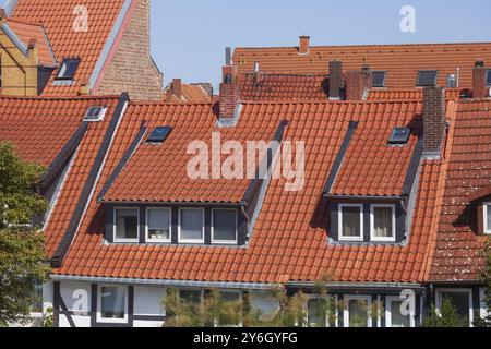 Rötliches Dach mit Dachziegeln und Oberlichtern im historischen Stadtzentrum Hildesheim, Niedersachsen, Deutschland, Europa Stockfoto