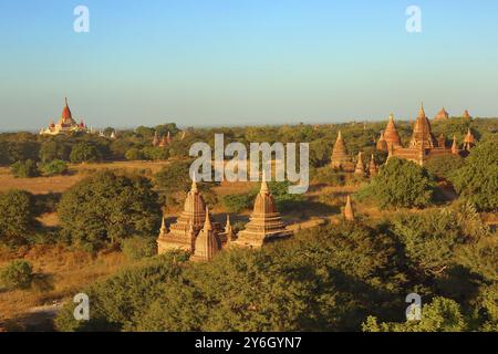 Landschaft mit Tempel in Bagan bei Sonnenuntergang, Myanmar (Birma) Stockfoto