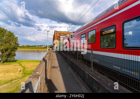 Die Eisenbahnbrücke Duisburg-Hochfeld-Rheinhausen, über den Rhein, Regionalzüge und viele Güterzüge queren hier den Rhein, von 1950, Stahl Fachwerkbrücke, Duisburg, NRW, Deutschland, Eisenbahnbrücke DU *** die Eisenbahnbrücke Duisburg Hochfeld Rheinhausen, über den Rhein, Regionalzüge und viele Güterzüge überqueren hier den Rhein, ab 1950, Stahlfachwerkbrücke, Duisburg, NRW, Deutschland, Eisenbahnbrücke DU Stockfoto