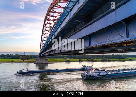 Die Brücke der Solidarität, längste Stabbogenbrücke Deutschlands, über den Rhein von Duisburg-Hochfeld nach DU-Rheinhausen, die Straßenbrücke ist marode und muss neu gebaut werden, viele Tausend LKW aus dem Logport Hafen und PKW benutzen die Brücke täglich, Neubau bis 2040, Frachtschiffe, Duisburg, NRW, Deutschland, Brücke der Solidarität *** die Brücke der Solidarität, die längste Brücke Deutschlands, über den Rhein von Duisburg Hochfeld nach Rheinhausen, ist baufällig und muss umgebaut werden, viele Tausend LKW vom Logport Hafen und Autos benutzen die Brücke je Stockfoto