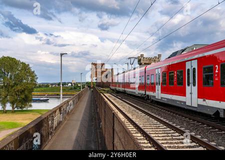 Die Eisenbahnbrücke Duisburg-Hochfeld-Rheinhausen, über den Rhein, Regionalzüge und viele Güterzüge queren hier den Rhein, von 1950, Stahl Fachwerkbrücke, Duisburg, NRW, Deutschland, Eisenbahnbrücke DU *** die Eisenbahnbrücke Duisburg Hochfeld Rheinhausen, über den Rhein, Regionalzüge und viele Güterzüge überqueren hier den Rhein, ab 1950, Stahlfachwerkbrücke, Duisburg, NRW, Deutschland, Eisenbahnbrücke DU Stockfoto