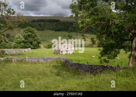 Steinscheune in ländlicher Landschaft an der B6160 zwischen Buckden und Kilnsey, Wharfedale, Yorkshire Dales, England Stockfoto
