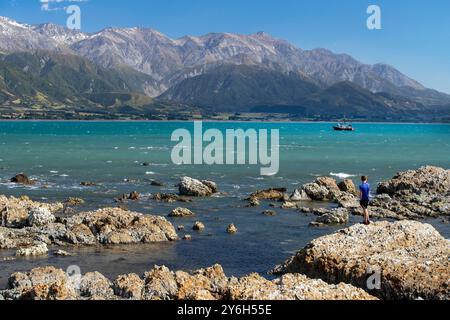 Charlie steht auf Felsen mit den Bergen der Seaward Kaikoura Range in der Ferne, Kaikoura, Stockfoto