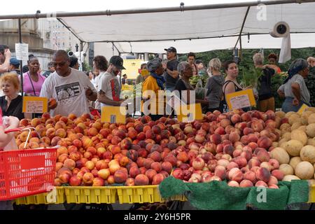 Auf dem Grand Army Plaza Farmers Market im Prospect Park in Brooklyn, New York, kaufen sich Pfirsiche. Stockfoto