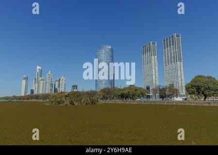 Buenos Aires, Argentinien - 25. September 2024: Blick auf die Lagune des Naturschutzgebiets Costanera Sur in Buenos Aires mit den Bürogebäuden i Stockfoto