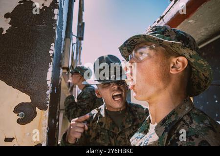 San Diego, Kalifornien, USA. August 2024. Alberto Ochoa, ein Bohrinstruktor der Fox Company, 2. Rekruten-Ausbildungsbataillon, korrigiert einen Rekruten während des Feuerlaufs am Tisch 1 im Marine Corps Base Camp Pendleton, Kalifornien, 21. August 2024. Die Tabelle 1 dient dazu, Rekruten die grundlegenden Grundlagen der Schusskunst und der Gewehrsicherheit näher zu bringen. (Kreditbild: © Sarah Grawcock/U.S. Marines/ZUMA Press Wire) NUR FÜR REDAKTIONELLE ZWECKE! Nicht für kommerzielle ZWECKE! Stockfoto