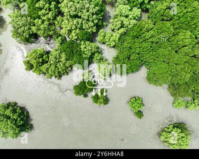 CO2-Abscheidungskonzept. Blick von oben auf den grünen Mangrovenwald. Natürliche Kohlenstoffsenken. Mangroven nehmen CO2 aus der Atmosphäre auf. Blue Carbon ECO Stockfoto