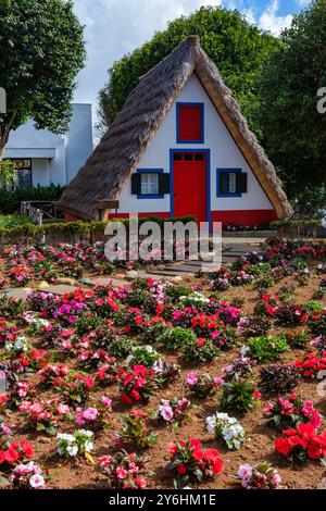 Kleine, dreieckige Häuser typisch für Madeira in Santana. Mit Strohdach und rot, weiß und blau lackiertem Haus passen Blumen im Vordergrund Stockfoto
