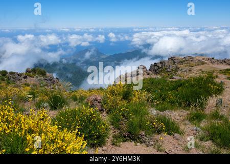 Soweit das Auge reicht: Blick über geschwollene Wolken in Richtung Nordmadeira Küste und Atlantik von Pico do Arieiro... Mit brillanten Punkten Stockfoto
