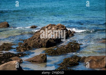Wellen schlagen sanft gegen die felsige Küste unter einem klaren blauen Himmel. Stockfoto
