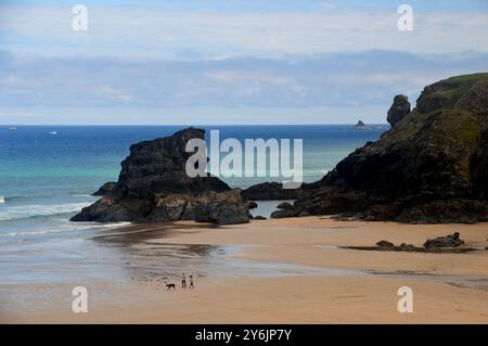 Menschen, die dort spazieren gehen Dog on the Beach am will's Rock in Porthcothan Bay am Southwest Coastal Path, North Cornwall, England, Großbritannien. Stockfoto