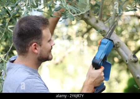 Glücklicher Mann, der Baumzweige mit elektrischer Säge in einem Garten beschneidet Stockfoto