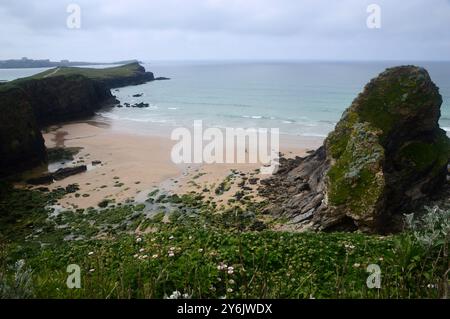 Trevelgue Begib dich auf Porth Island vom Whipsiderry Beach in der Nähe von Newquay vom Southwest Coastal Path in North Cornwall, England, Großbritannien Stockfoto