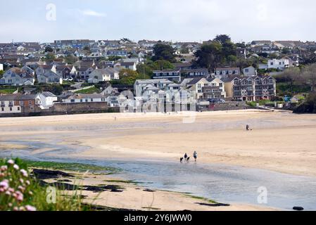 People Walking Dogs (Dogwalkers) am Porth Bay Beach von Trevelgue Head in der Nähe von Newquay am Southwest Coastal Path, North Cornwall, England, Großbritannien Stockfoto