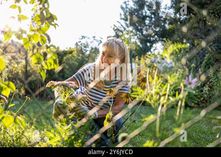 Eine ältere Frau, die an einem sonnigen Tag an ihrem Schreck arbeitet Stockfoto