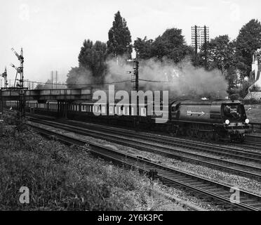 Golden Arrow Dampfeisenbahn Stockfoto