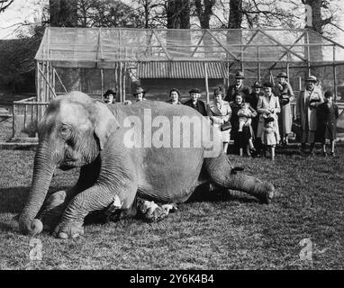 Die Besucher des Maidstone Zoo Park , Kent , England , sehen nun als zusätzliches Privileg die Ausbildung von Tieren für die Sommerzirkusse , hier Herr Karl Fischer , 20 Jahre alter Trainer , vor einem kleinen Publikum einen Auftritt am 1. April 1938 Proben Stockfoto