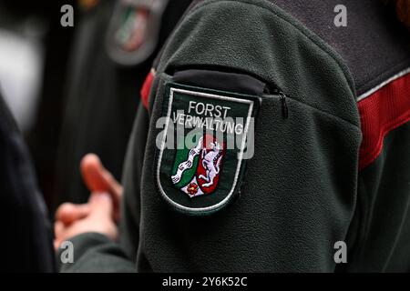 Solingen, Deutschland. September 2024. Mitarbeiter des Forst- und Holzamtes Nordrhein-Westfalen unterstützen die Polizei in einem Park in der Innenstadt. Die Bundesanwaltschaft ist aktiv, um weitere Beweise im Zusammenhang mit dem Messerangriff zu sichern und wird von den Forstarbeitern unterstützt. Quelle: Roberto Pfeil/dpa/Alamy Live News Stockfoto