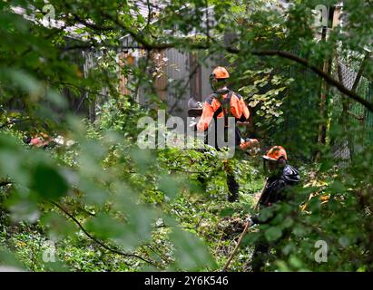 Solingen, Deutschland. September 2024. Polizisten arbeiten an der Beweissicherung in einem bewaldeten Gebiet im Stadtzentrum. Die Staatsanwaltschaft ist in der Lage, weitere Beweise im Zusammenhang mit dem Messerangriff zu sichern. Quelle: Roberto Pfeil/dpa/Alamy Live News Stockfoto