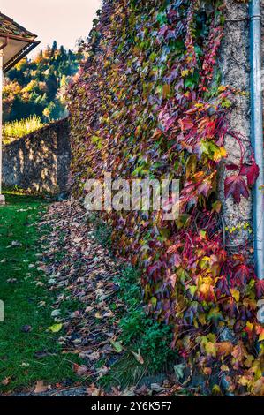 Herbst in Val Degano. Ovaro und seine charakteristischen Dörfer. Das Haus mit hundert Fenstern Stockfoto