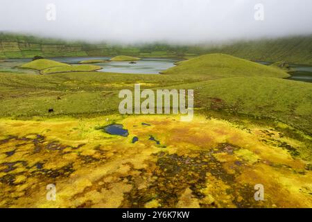 Natürliche Landschaft, Panoramablick. Wunderschöne Lagune im vulkanischen Caldeirao-Krater und auf Corvo Island, Azoren, Portugal. Natur und Wissenschaft Stockfoto