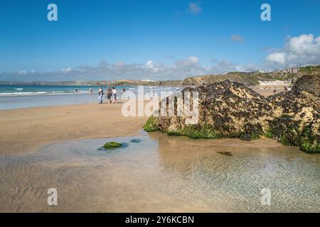 Felsen, die bei Ebbe am GT Great Western Beach in Newquay in Cornwall in Großbritannien freigelegt werden. Stockfoto