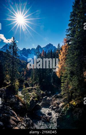 Herbst in Val Sesis. Die Explosion der Farben im Tal des Flusses Piave. Sappada Stockfoto