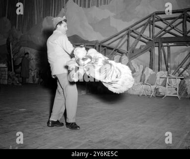 Joe and Evie Slack : bei der Ankunft aus Chicago für die London Melody in der Empress Hall . Sie trägt den Spitznamen Rubber Woman und probt für ihren Auftritt am 29. Mai 1951 Stockfoto