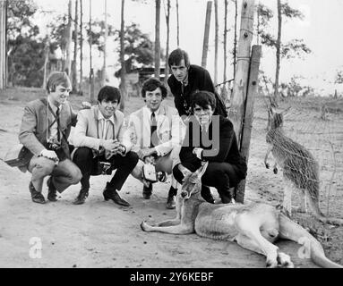 Sydney, Australien: Dieses Bild, das im Outback mit Dave Clarks eigener Kamera aufgenommen wurde, zeigt die britische Pop-Gruppe mit einer Emu im Vordergrund von links nach rechts: Lennie Davidson (Gitarre); Rich Huxley (Gitarre); Mike Smith (Orgel und Gesang); Denis Payton (Tenorsaxophon) und Dave Clark (Schlagzeug und Gesang). Die 10-wöchige Welttournee der Gruppe wird voraussichtlich am 16. Juni 1965 mit rund 357.000 £ (1 Million $) gerechnet Stockfoto