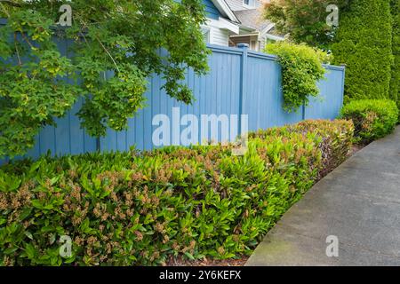 Großer neuer Holzzaun um das Haus und die Bäume. Harter Holzzaun mit grünen Bäumen und Weg. Zäune und Tore. Hochwertiger Zaun. Straßenfoto. Stockfoto