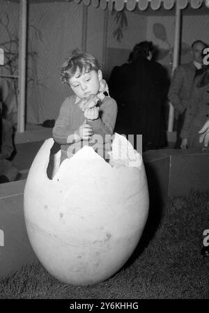 London: Nur um Sie daran zu erinnern, dass Ostern nicht weit entfernt ist der 4-jährige John Harper aus Clampham (London) wurde in einer saisonalen Umgebung dargestellt. Niemand auf der Osterfarm in einem Oxford Street Store behauptet, dass John verdorben ist oder der Scheck von diesem Rieseneier geschlüpft wurde. 27. März 1953 Stockfoto