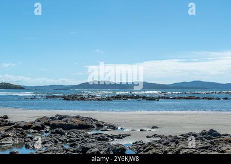 Malerischer feiner Sandstrand in Cavolebora in Panama mit nahe gelegenem Dschungel Stockfoto