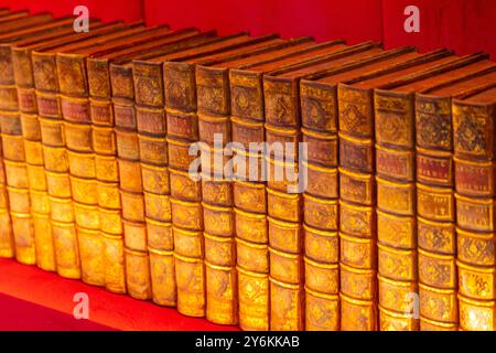 Vereinigte Arabische Emirate, Dubai, Expo 2020. Der französische Pavillon. Belichtete Enzyklopädie Stockfoto
