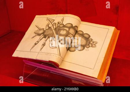 Vereinigte Arabische Emirate, Dubai, Expo 2020. Der französische Pavillon. Belichtete Enzyklopädie Stockfoto