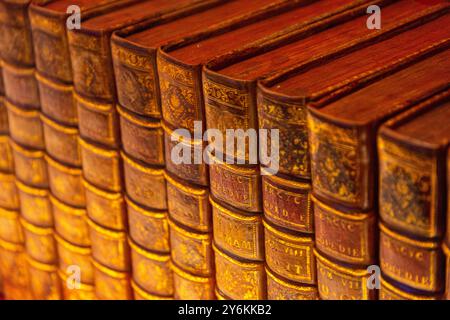 Vereinigte Arabische Emirate, Dubai, Expo 2020. Der französische Pavillon. Belichtete Enzyklopädie Stockfoto