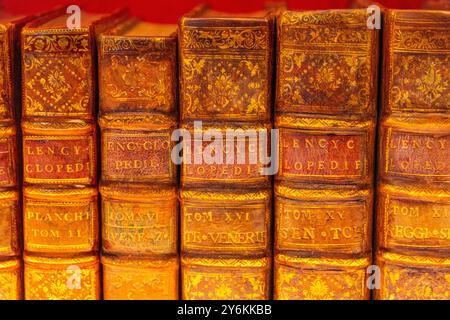 Vereinigte Arabische Emirate, Dubai, Expo 2020. Der französische Pavillon. Belichtete Enzyklopädie Stockfoto