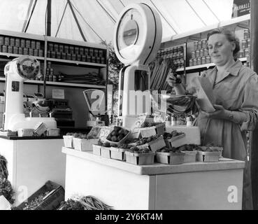 Lebensmittelgeschäft in den 1950ern ©TopFoto Stockfoto