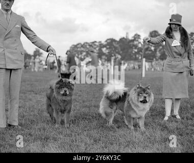 Berks and Bucks Championship Dog Show in Windsor. Captain und Mrs. Cliff mit ihren preisgekrönten Chows „Wu Hu of Chunghing“ und „Chang Teh of Changking“ am 8. Juni 1927 Stockfoto