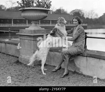 Kennel Club Show im Crystal Palace. Frau Potts mit ihrem herrlichen Borzoi "Maximus Romanoff". 1931 Stockfoto
